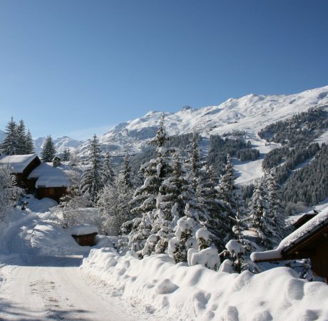Snowy trees and chalets in france