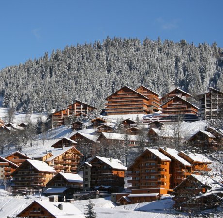 Chalets in Meribel