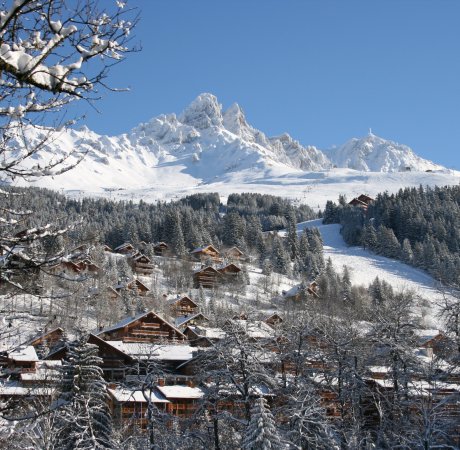 French Alps