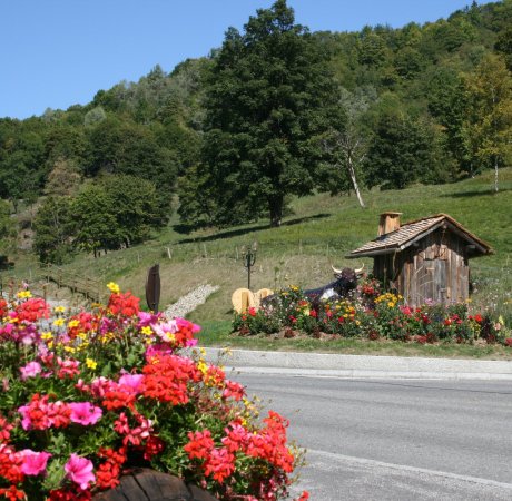 Flowers in France