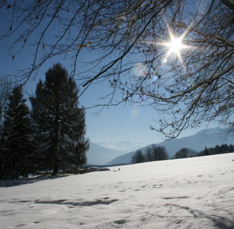 Snow and Sun